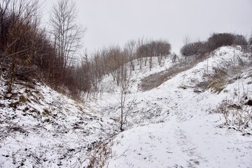 Fototapeta premium Park in winter in cloudy weather