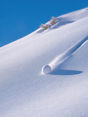 Snowball rolling downhill creates dynamic motion in fresh snow