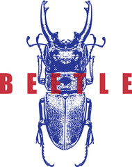 Stag Beetle Retro Woodcut Style Illustration. Blue Insect Graphic with Large Mandibles. Red Text, High Contrast Entomology Art. Isolated on White Background.