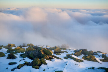 Snow-covered mountain slope at dawn, with scattered rocks and small trees adding texture to foreground. Sea of clouds below bathed in soft hues of blue and gold as sunlight gently illuminates scene.