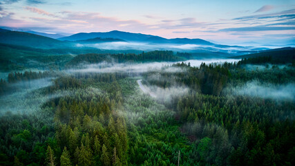Aerial view of winding road snakes through dense, mist-covered forest in early morning light. Lush green trees with layers of mist creating dreamlike atmosphere as mountains rise in background.