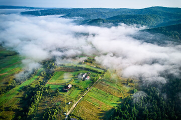 Aerial view of dense forest partially shrouded in mist, revealing patches of vibrant green trees. Fog gradually unveils quaint village nestled among trees, creating serene and enchanting landscape.