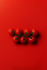 Cherry Tomatoes on the Vine