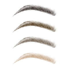 Vector Set of Eyebrows in Different Colors