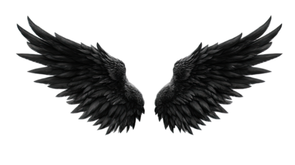 Black angel wings with feather details spread wide majestic dark fantasy mystical powerful supernatural isolated on white background

