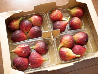 箱に入った日本のいちじく「桝井ドーフィン」４パック