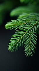 Close-up view of vibrant green pine needles showcasing intricate textures and natural beauty, set against a soft dark background, emphasizing the essence of nature's design