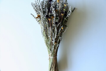 Colorful Dry Flowers, Interior Design, Still Life, Daisies, Lavender, Beautiful Flowers