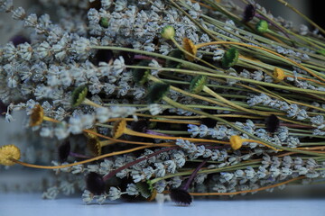 Colorful Dry Flowers, Interior Design, Still Life, Daisies, Lavender, Beautiful Flowers