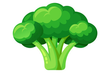 broccoli isolated on white