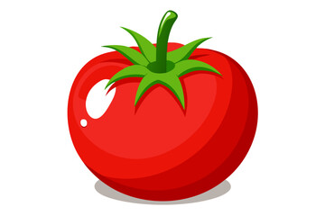 tomato isolated on white