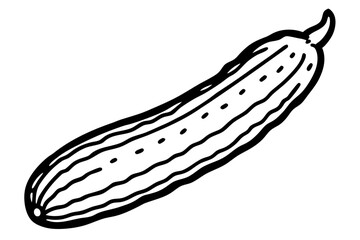 hand drawn vector illustration of an cucumber vegetable