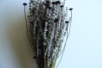 Colorful Dry Flowers, Interior Design, Still Life, Daisies, Lavender, Beautiful Flowers