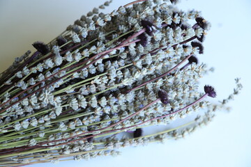 Colorful Dry Flowers, Interior Design, Still Life, Daisies, Lavender, Beautiful Flowers