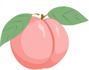 Cute pink peach fruit flat icon vector illustration with green leaf on white background