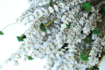 Colorful Dry Flowers, Interior Design, Still Life, Daisies, Lavender, Beautiful Flowers
