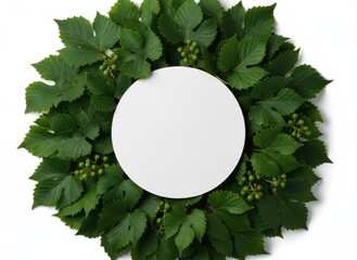 Green Vine Leaves Frame with White Circle Center on Clean White Background