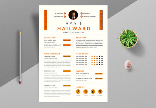 Modern Resume Template Layout