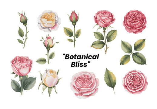 Vector Watercolor Painted Flower Template