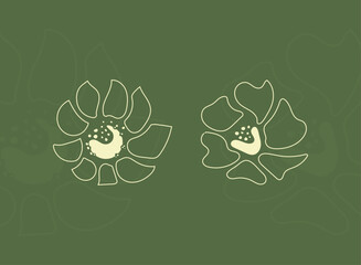 Minimal flower line art illustration. Abstract floral outline with petal, botanic, organic, beauty, eco, spa, cosmetic, wellness, packaging, decorative, vector, background, and nature design.