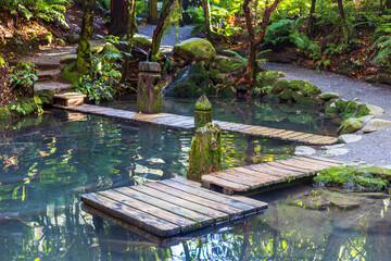 A rustic wooden footbridge crosses a clear pond surrounded by moss, rocks, and dense green forest vegetation