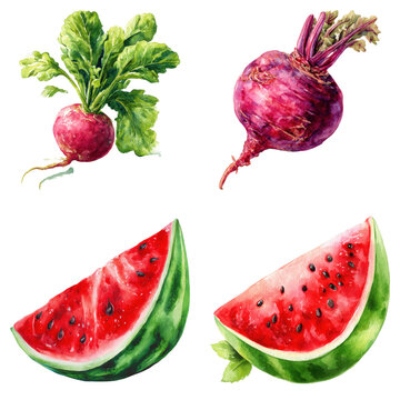 Watercolor painting featuring fresh summer fruits and root vegetables, artistic rendering, isolated on transparent background