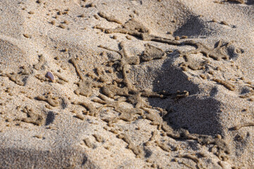 Splashes of water on beach sand