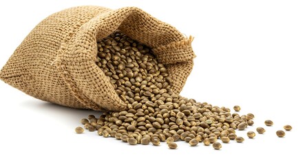 Burlap sack spilling nutritious hemp seeds on a clean white background