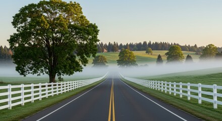 Fototapeta premium Scenic country road leading through lush green fields and trees under a clear sky with fog