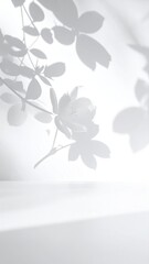 Soft shadows of flowers and leaves on a white backdrop