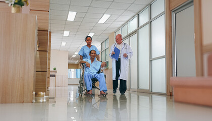Health care doctor and nurse walking together with patient on wheelchair. Medical staff hospital team discuss medicine or clinic insurance planning. Diverse people healthcare workers collaboration.