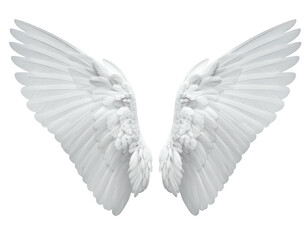 Obraz premium Pair of large, detailed white angel wings