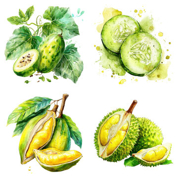 Watercolor illustration with vibrant tropical fruits and vegetables isolated with ink splashes on transparent background.