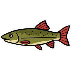 Northern pike freshwater predator fish vector icon