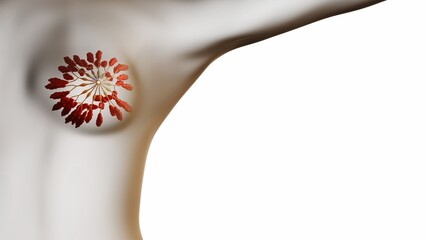 3D illustration presents a detailed view of the female mammary gland , highlighting its internal architecture and functional components .