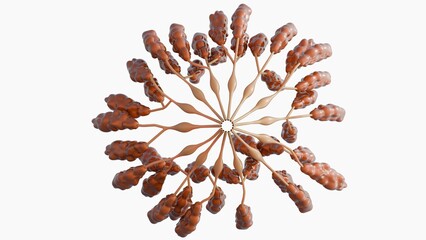 The 3D rendering of the radial architecture emulates the lobular morphology of the gland , featuring arm - like projections that represent the ductal branches radiating from the central nipple region.