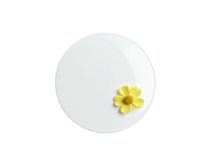 White circular object, yellow flower