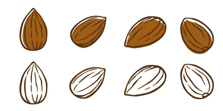 almond vector logo isolated on white background.