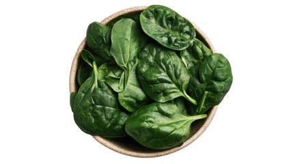 Fototapeta premium Fresh spinach leaves in a bowl, perfect for salads and healthy meals.