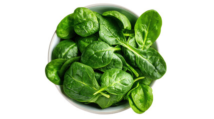 Obraz premium Fresh spinach leaves in a white bowl isolated on a clean background.