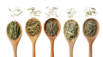 Various dried herbs in wooden spoons, isolated on a white background.
