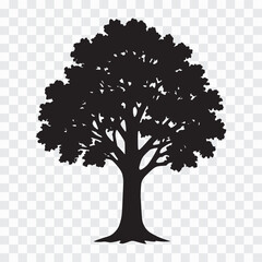 Silhouette of a Tree with Full Foliage Against Transparent Background
