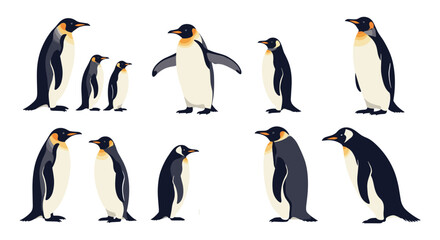 A collection of emperor penguins standing in various poses and groups.