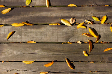 Dry autumn leaves scattered on old wooden deck. Seasonal background showing natural textures of weathered wood and fallen foliage, symbolizing autumn, change, and passage of time.