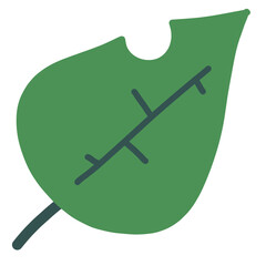 가을에 볼 수 있는 단풍잎 나뭇잎