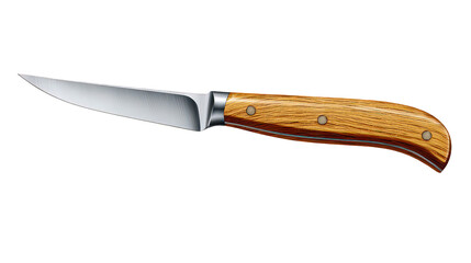 Silver Blade Paring Knife with Wood Handle on Transparent Background