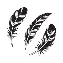Obraz premium Three black and white stylized feathers on a white background