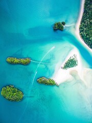 woman snorkeling in the sea