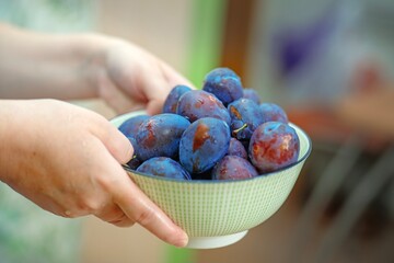 Female hands carrying a deep ceramic bowl filled with washed ripe plums