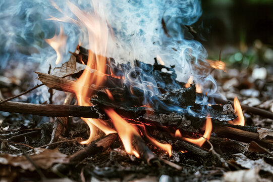 flames smog flame was burning dry leaves concept caused haze burns burning windy day llamas smog llama quemaba hojas secas concepto causó neblina quemaduras quemando día ventoso ateş ates duman